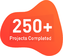 250+ Projects Completed